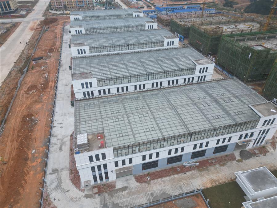 AG Club | The Originator of Live Casino