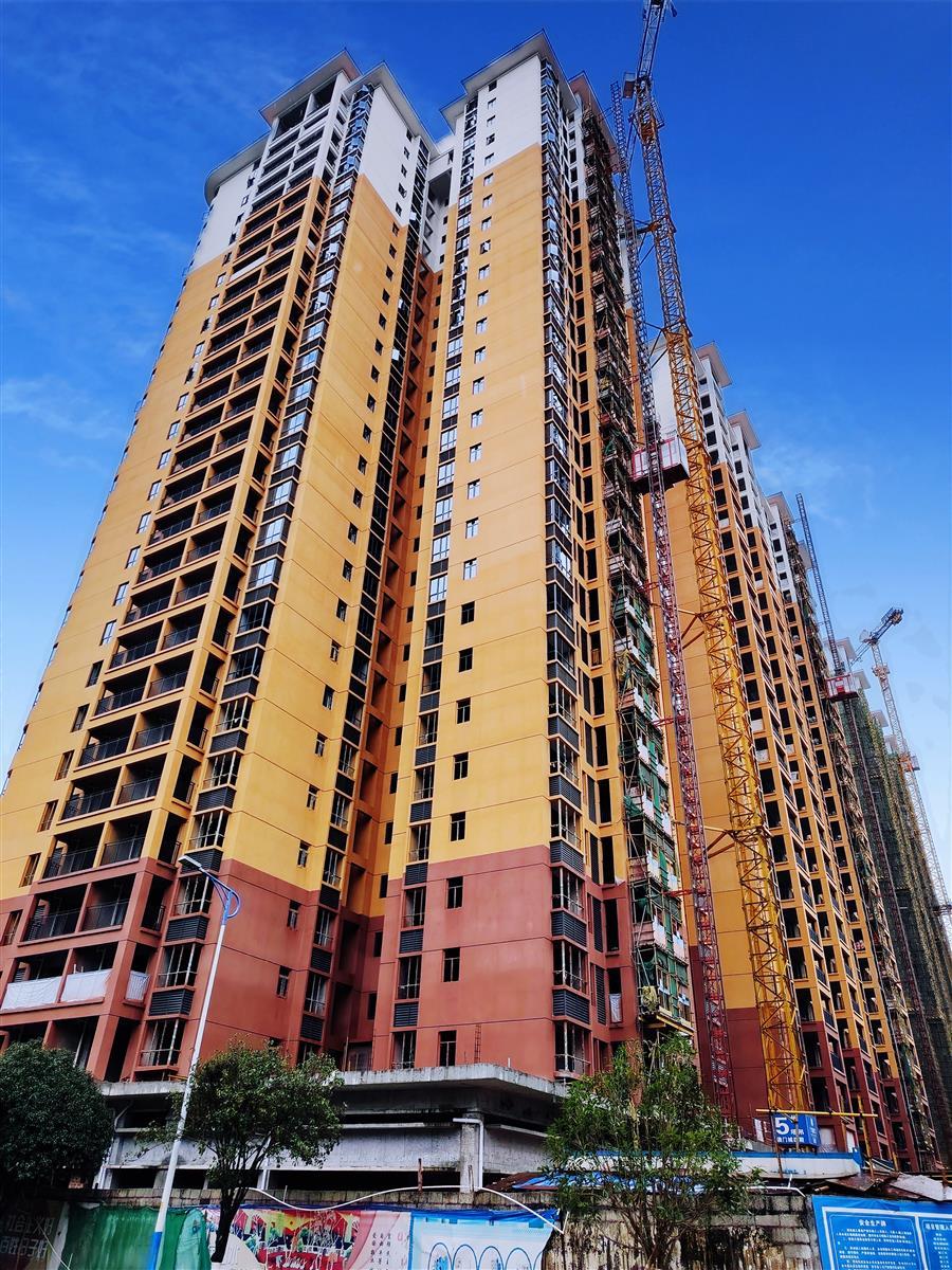 AG Club | The Originator of Live Casino