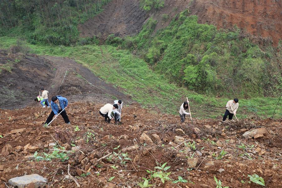 AG Club | The Originator of Live Casino