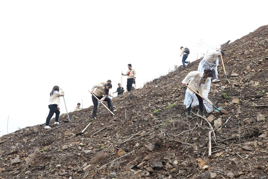 AG Club | The Originator of Live Casino