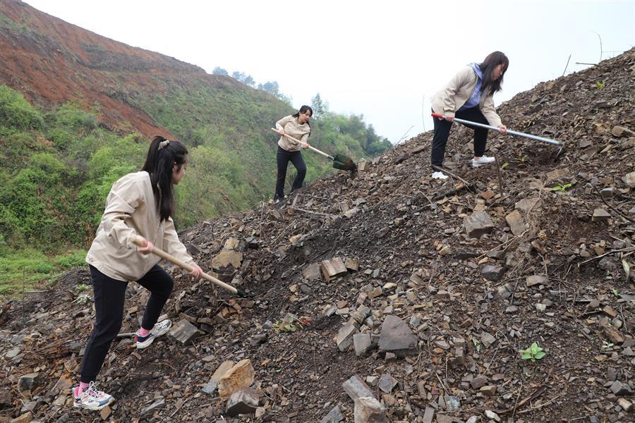 AG Club | The Originator of Live Casino