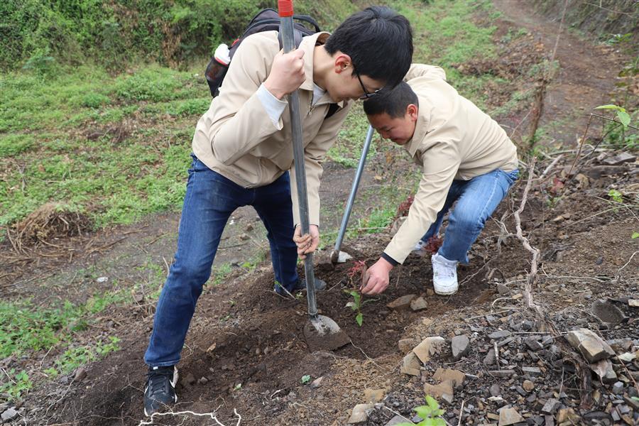 AG Club | The Originator of Live Casino