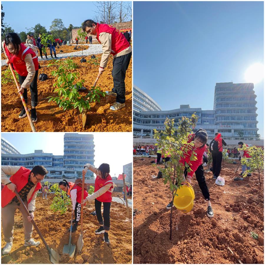 AG Club | The Originator of Live Casino