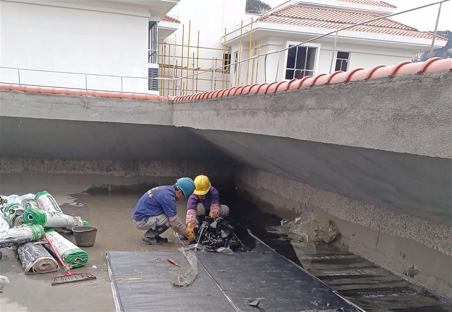 AG Club | The Originator of Live Casino