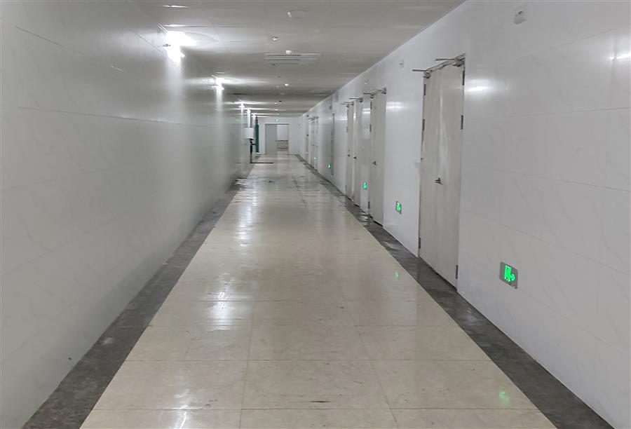 AG Club | The Originator of Live Casino