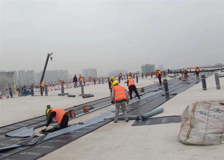 AG Club | The Originator of Live Casino