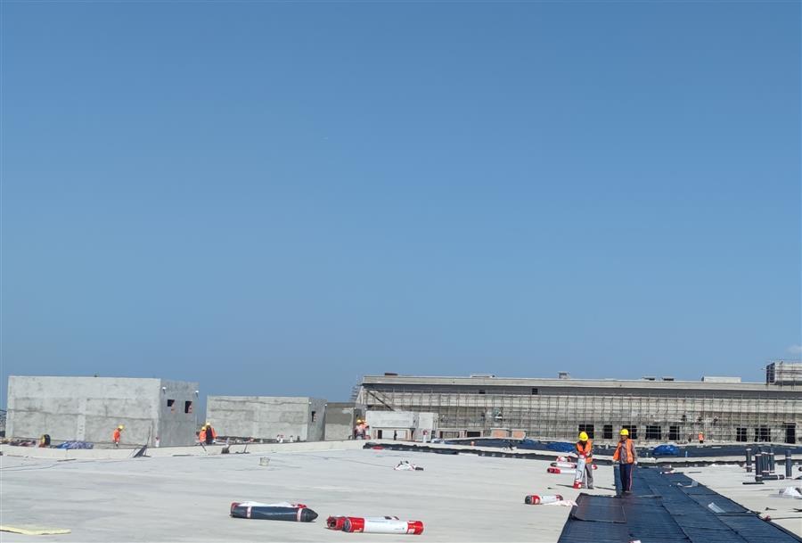 AG Club | The Originator of Live Casino