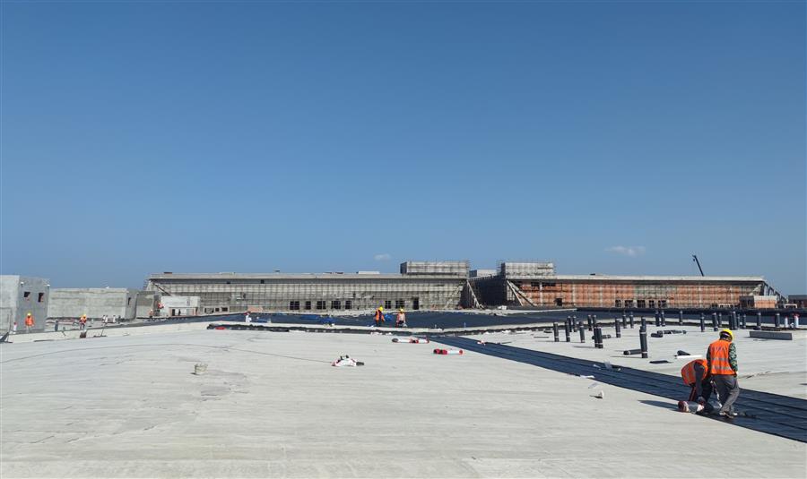 AG Club | The Originator of Live Casino