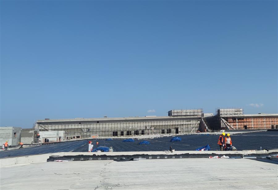 AG Club | The Originator of Live Casino