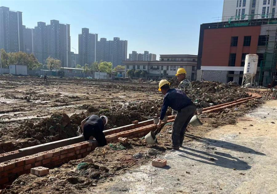 AG Club | The Originator of Live Casino