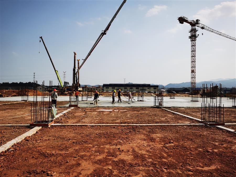 AG Club | The Originator of Live Casino