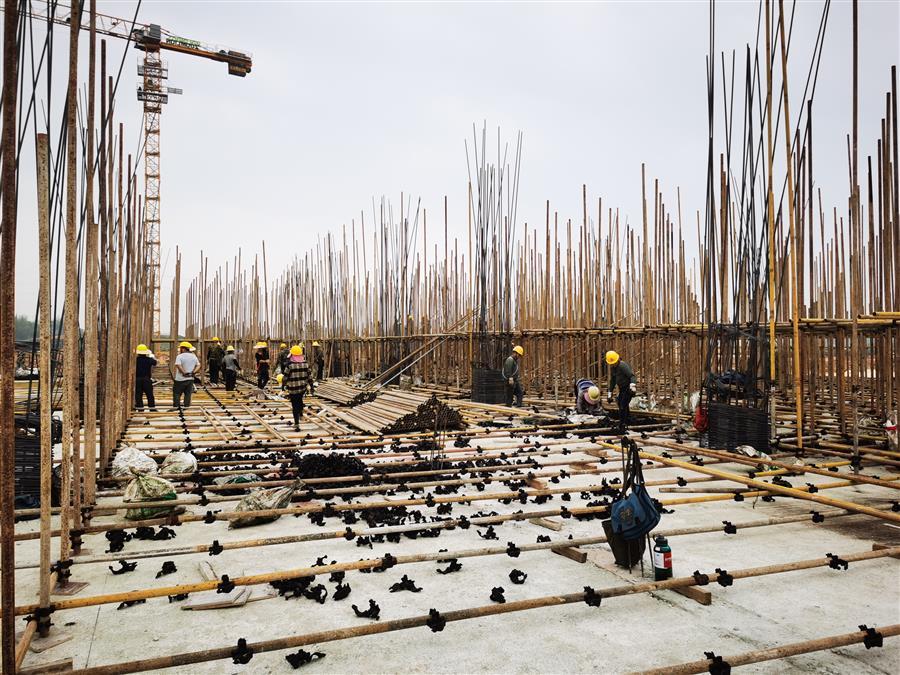 AG Club | The Originator of Live Casino