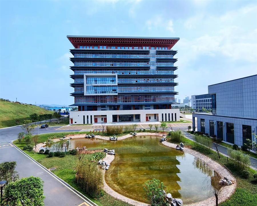 AG Club | The Originator of Live Casino