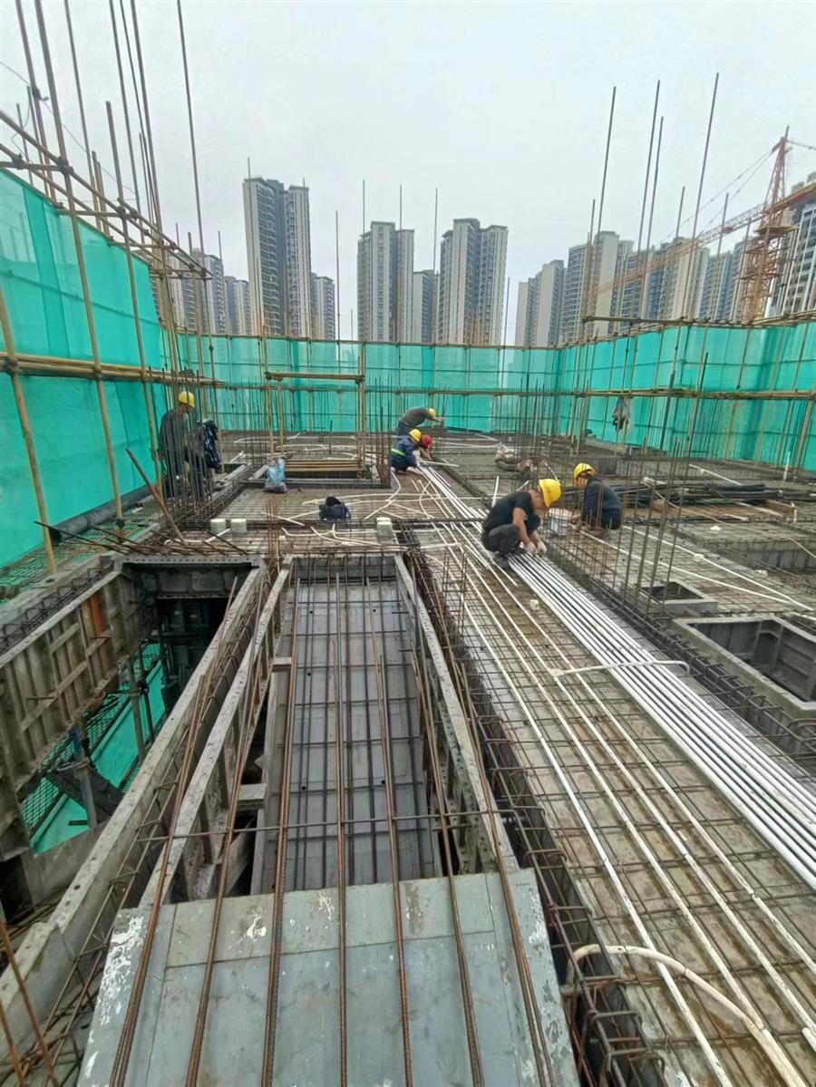 AG Club | The Originator of Live Casino