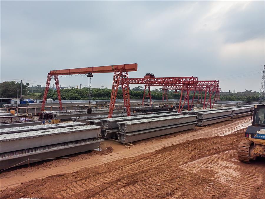 AG Club | The Originator of Live Casino