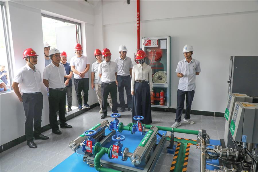 AG Club | The Originator of Live Casino