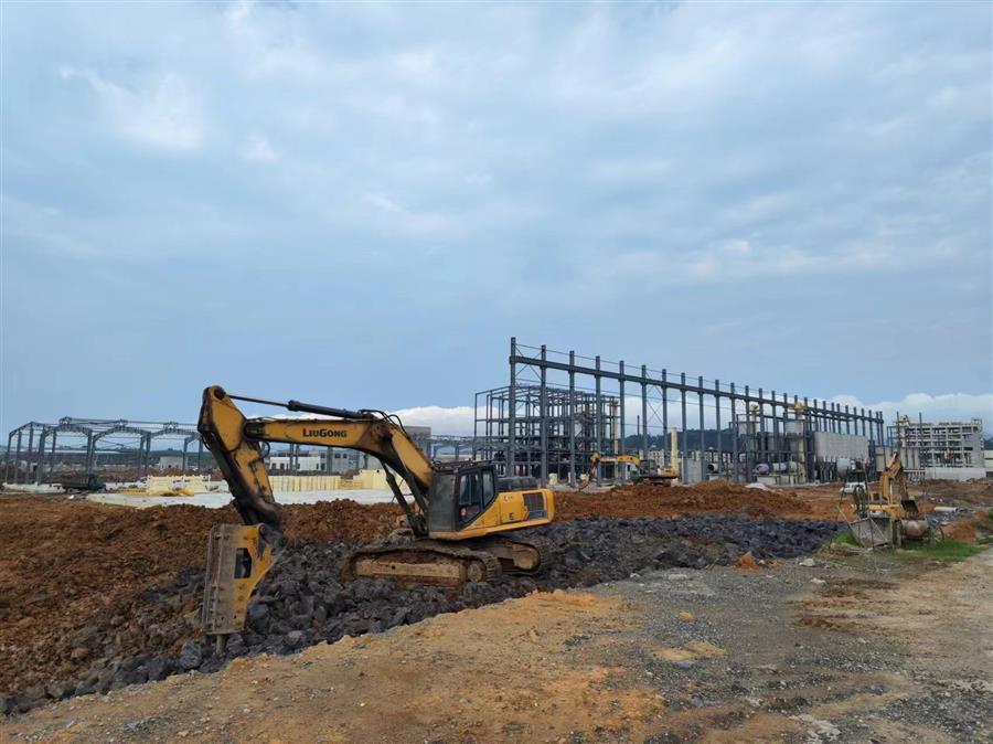 AG Club | The Originator of Live Casino