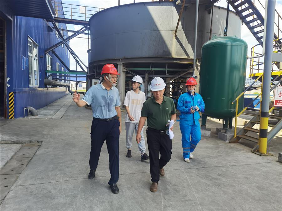 AG Club | The Originator of Live Casino