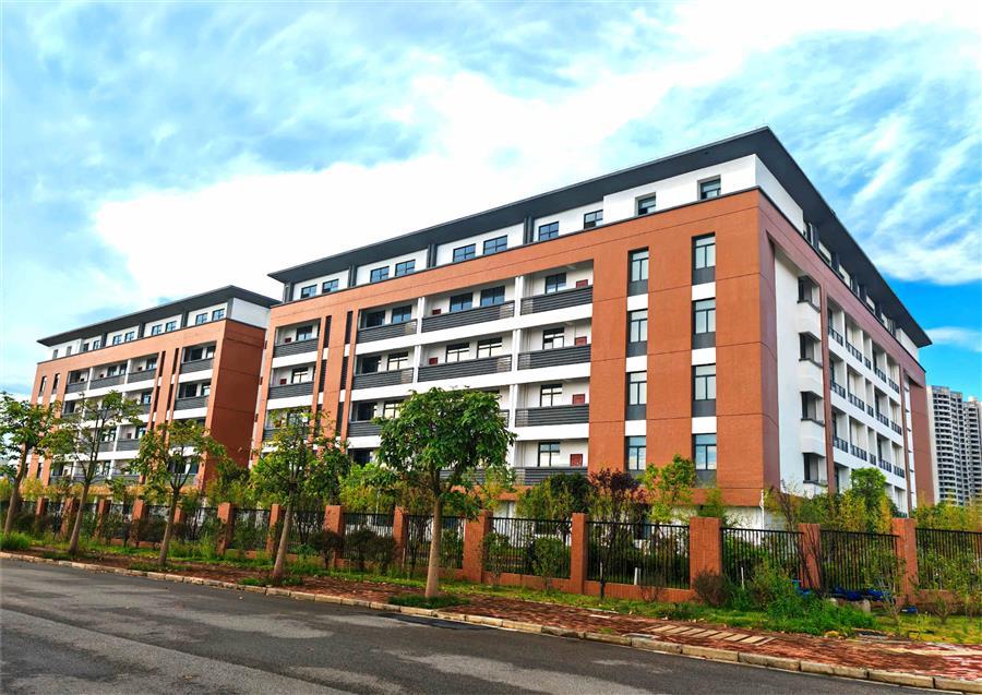 AG Club | The Originator of Live Casino