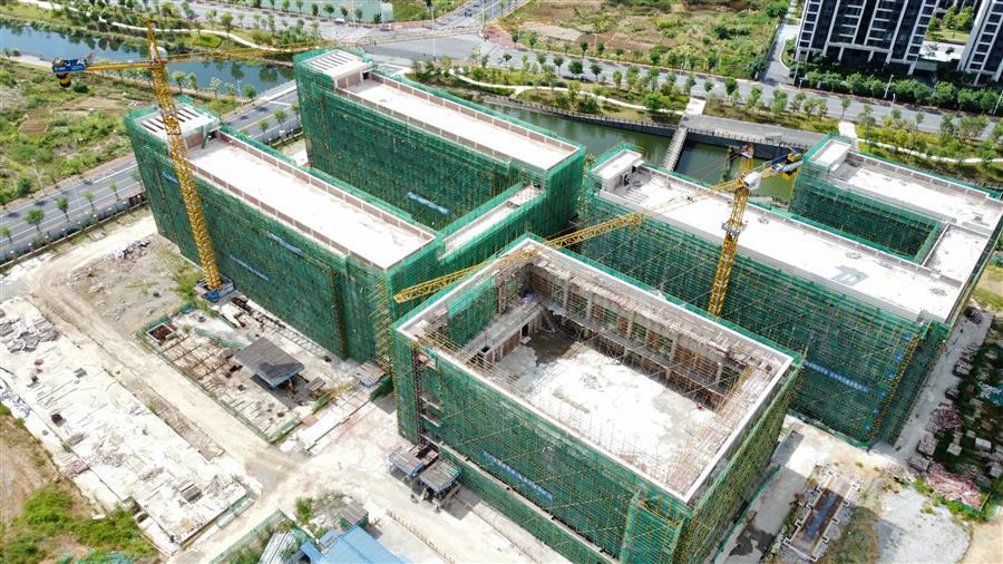 AG Club | The Originator of Live Casino