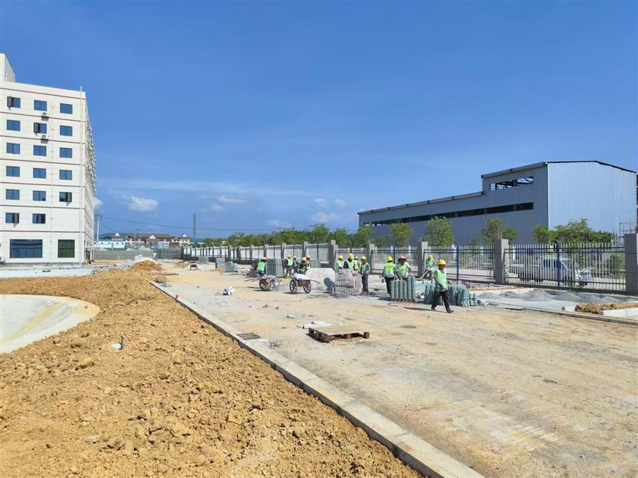 AG Club | The Originator of Live Casino