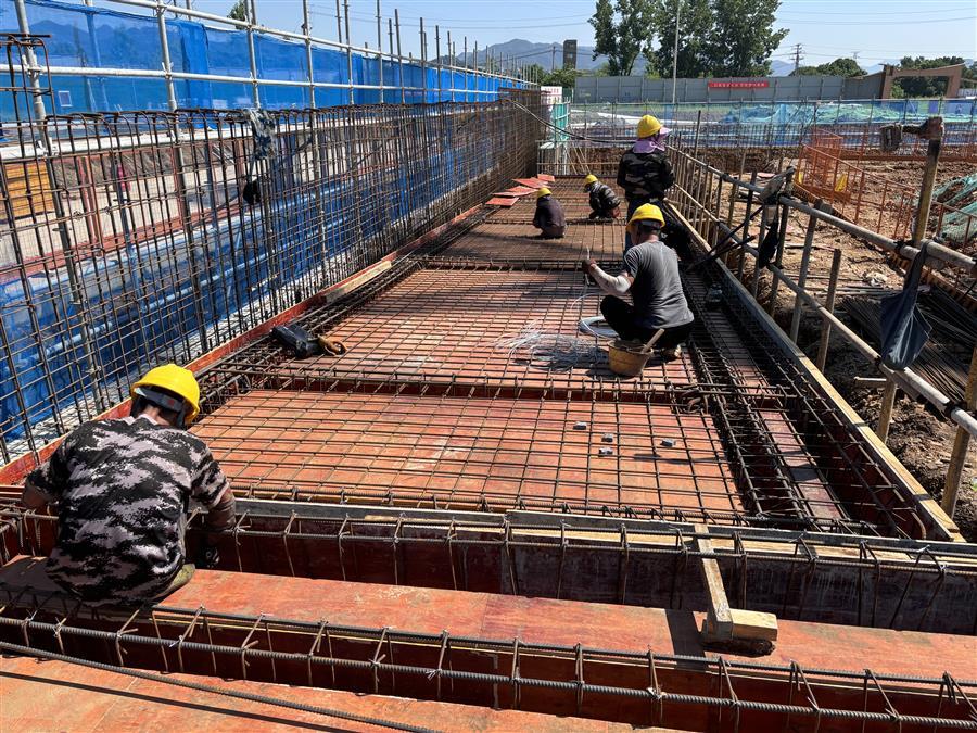 AG Club | The Originator of Live Casino