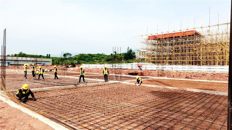 AG Club | The Originator of Live Casino