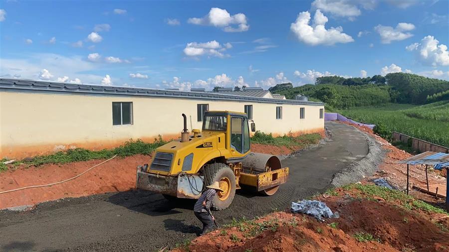 AG Club | The Originator of Live Casino