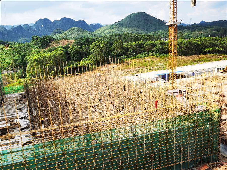 AG Club | The Originator of Live Casino