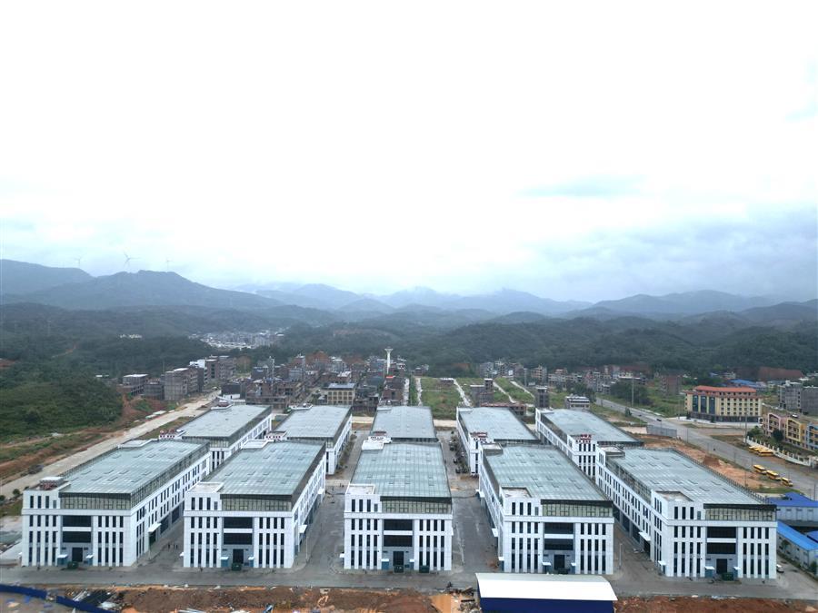 AG Club | The Originator of Live Casino