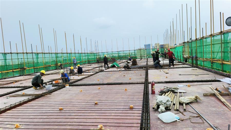 AG Club | The Originator of Live Casino