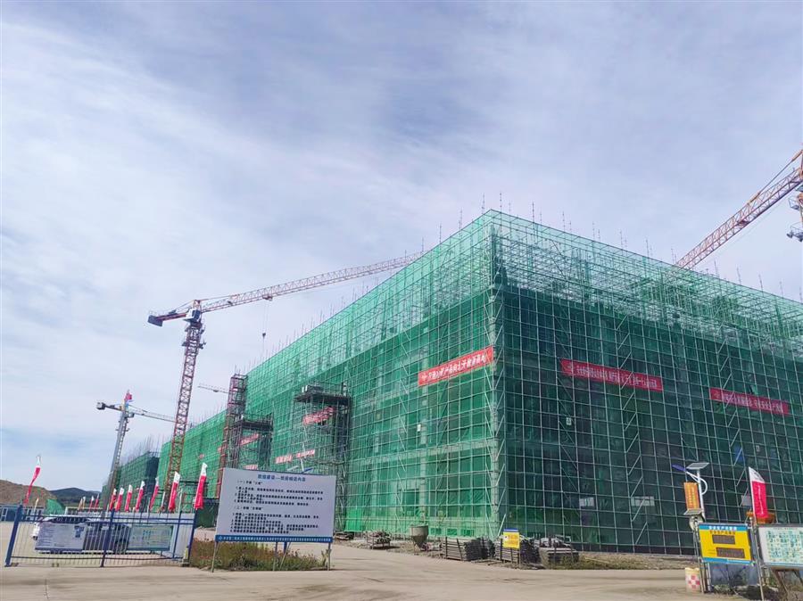 AG Club | The Originator of Live Casino