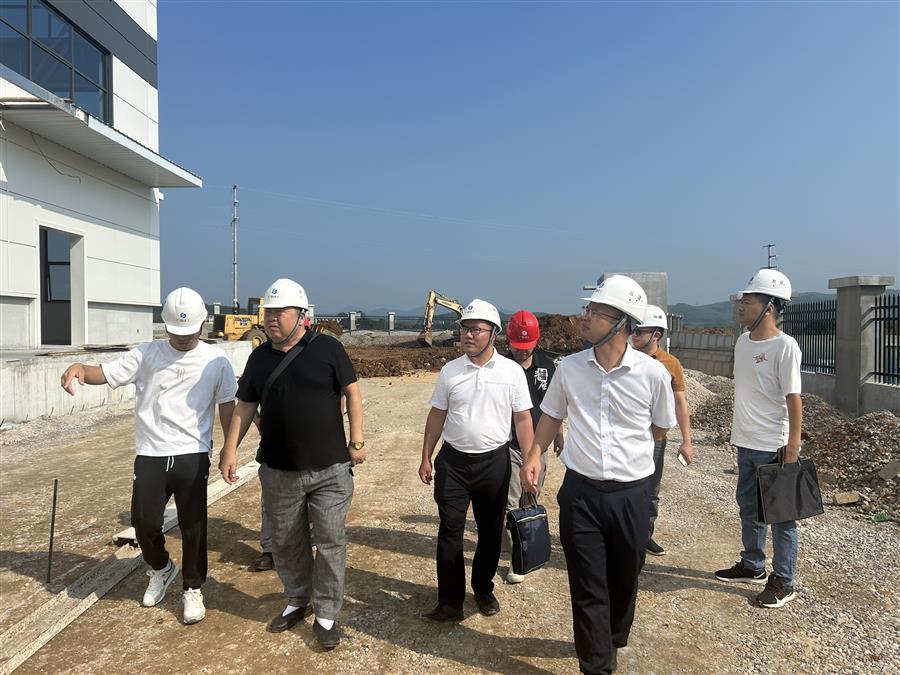 AG Club | The Originator of Live Casino