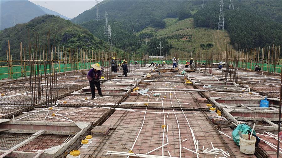 AG Club | The Originator of Live Casino