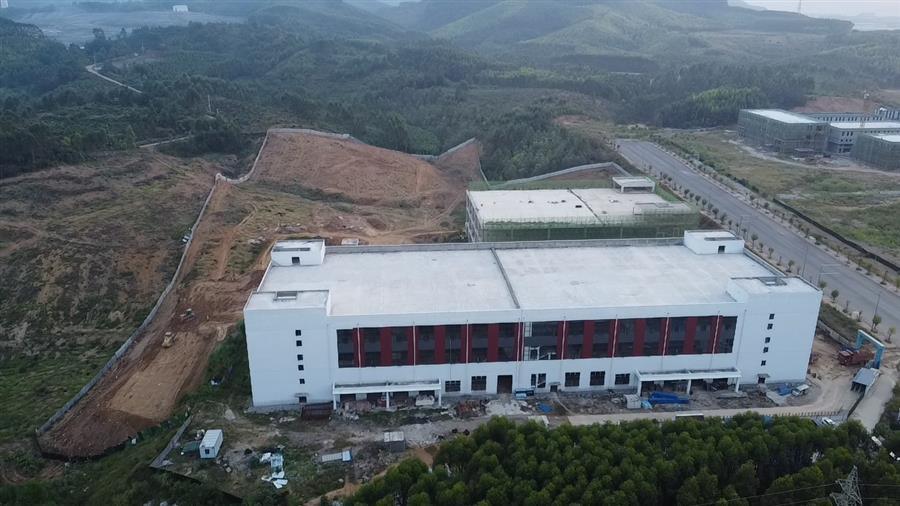 AG Club | The Originator of Live Casino