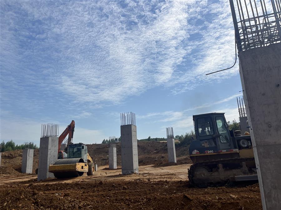 AG Club | The Originator of Live Casino