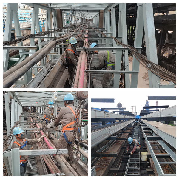 AG Club | The Originator of Live Casino