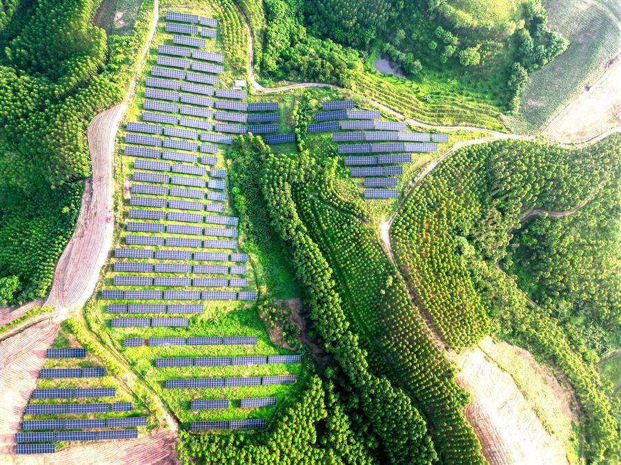 AG Club | The Originator of Live Casino