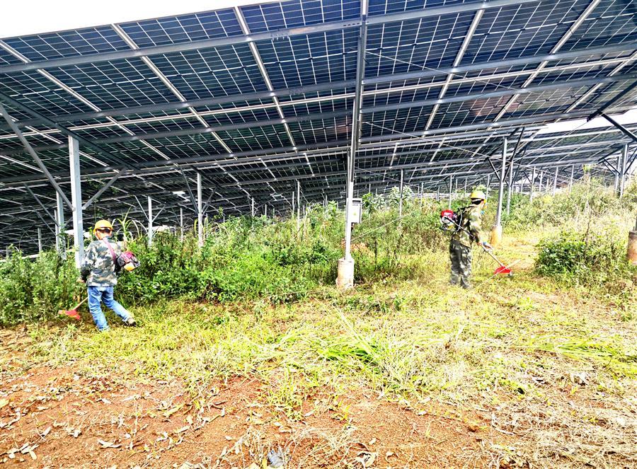 AG Club | The Originator of Live Casino