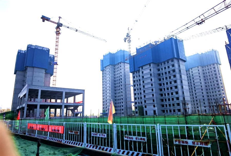 AG Club | The Originator of Live Casino