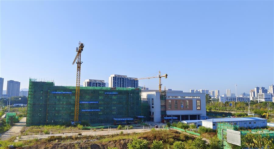 AG Club | The Originator of Live Casino