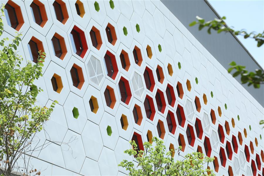 AG Club | The Originator of Live Casino