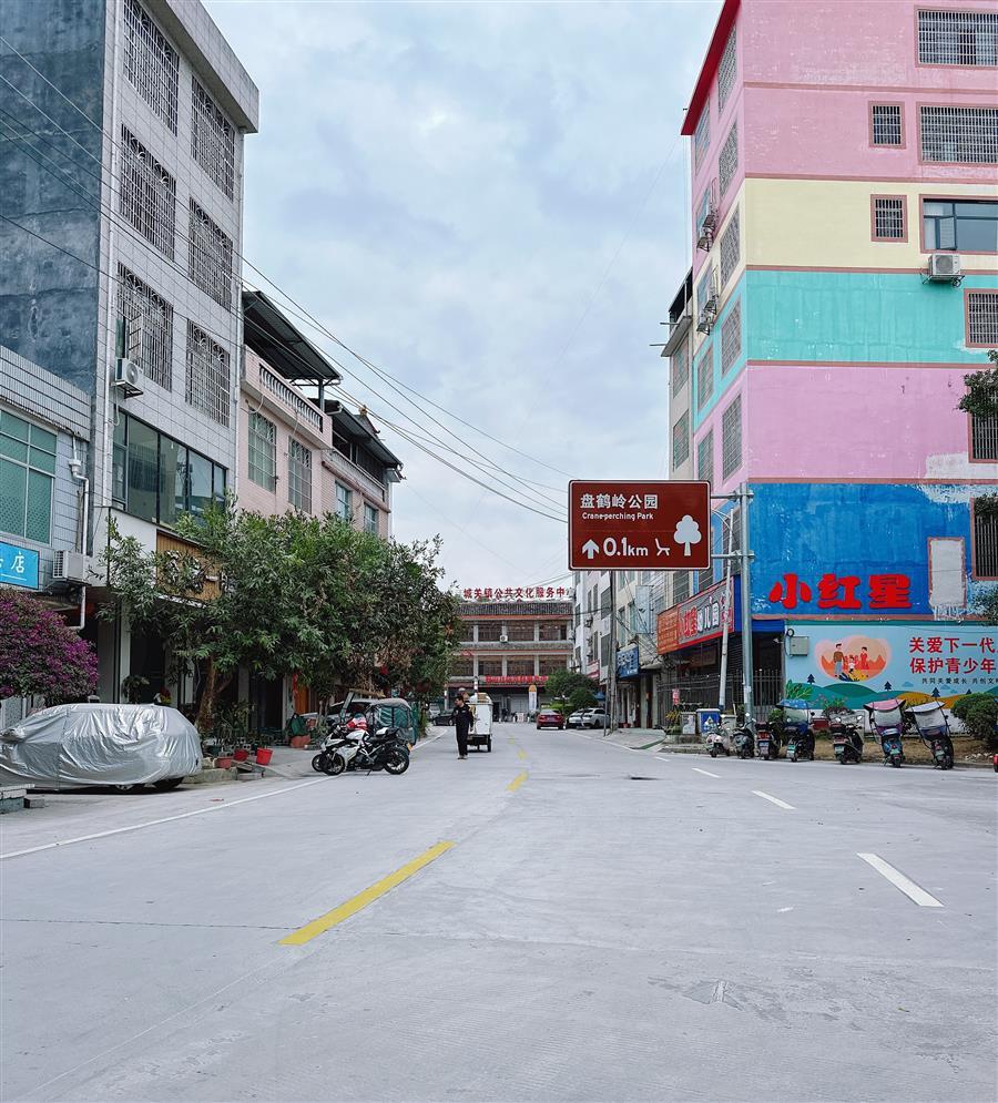 AG Club | The Originator of Live Casino