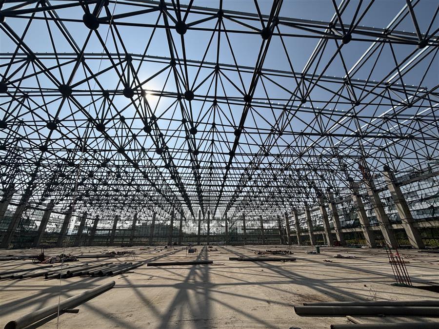 AG Club | The Originator of Live Casino