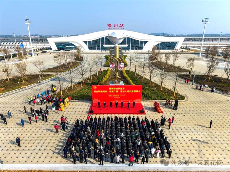 AG Club | The Originator of Live Casino