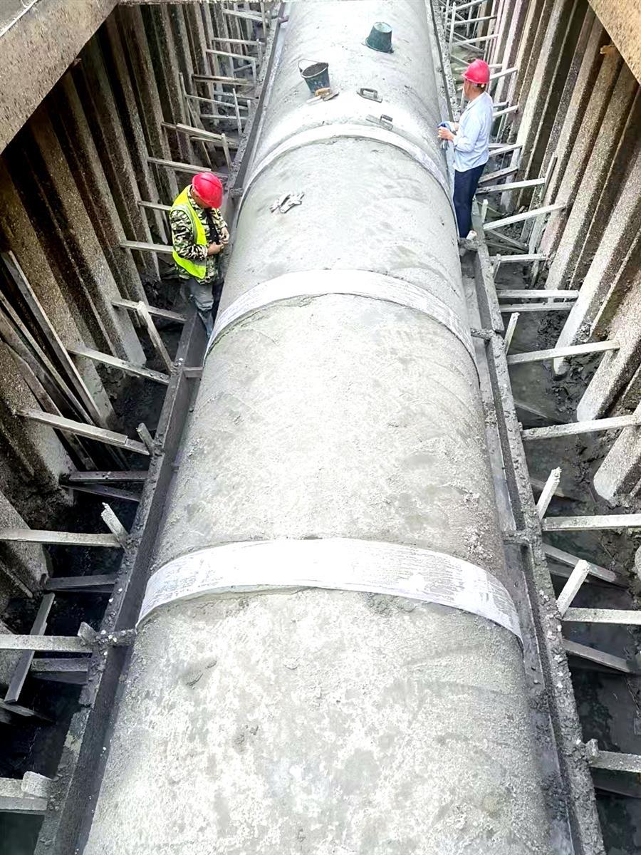 AG Club | The Originator of Live Casino