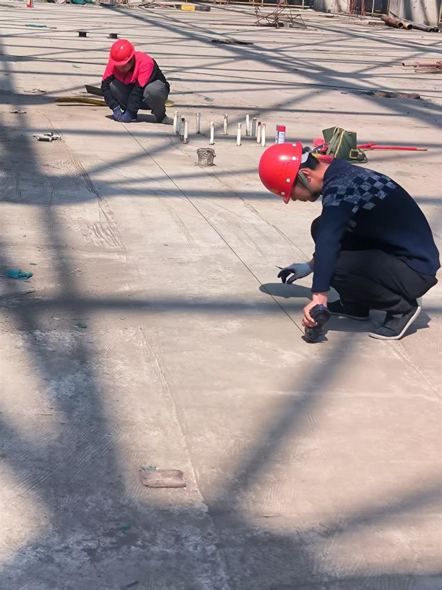 AG Club | The Originator of Live Casino