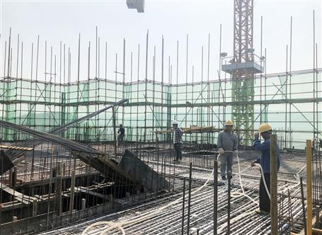 ʮһ�����������ǹ�������������Ӱ��